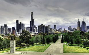 city view under grey cloudy sky during daytime HD wallpaper